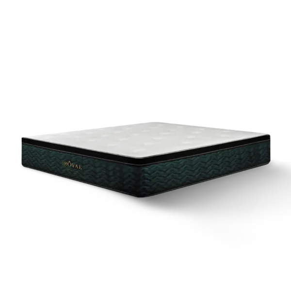 Spinemaster Mattress Queen Size